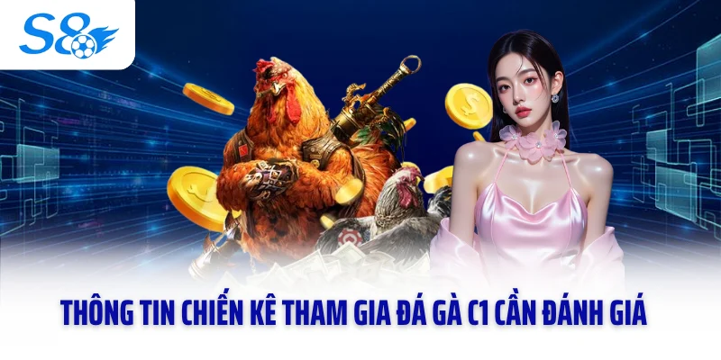 Thông tin chiến kê tham gia đá gà C1 cần đánh giá 